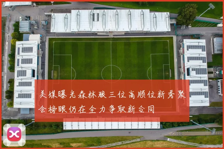 美媒曝光森林狼三位高顺位新秀聚会榜眼仍在全力争取新合同