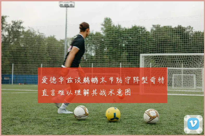 爱德华兹谈鹈鹕末节防守阵型奇特直言难以理解其战术意图