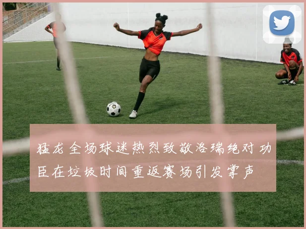 猛龙全场球迷热烈致敬洛瑞绝对功臣在垃圾时间重返赛场引发掌声